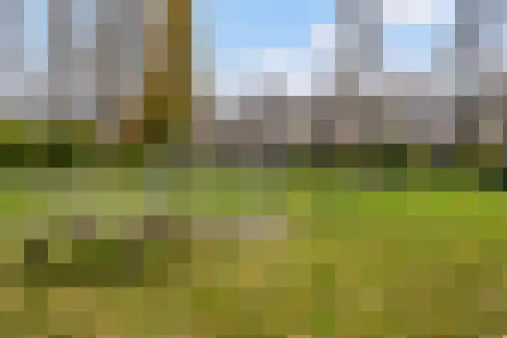 Akker 91 De Bilt thumbnail 40