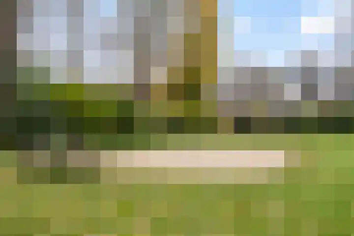 Akker 91 De Bilt thumbnail 41