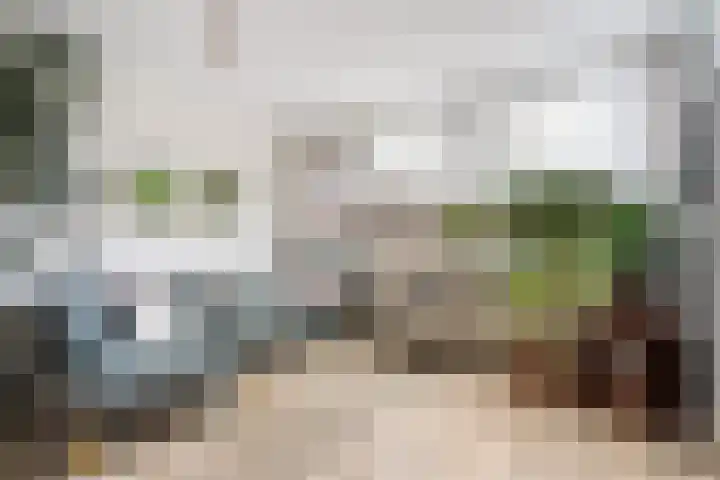 Akker 91 De Bilt thumbnail 8