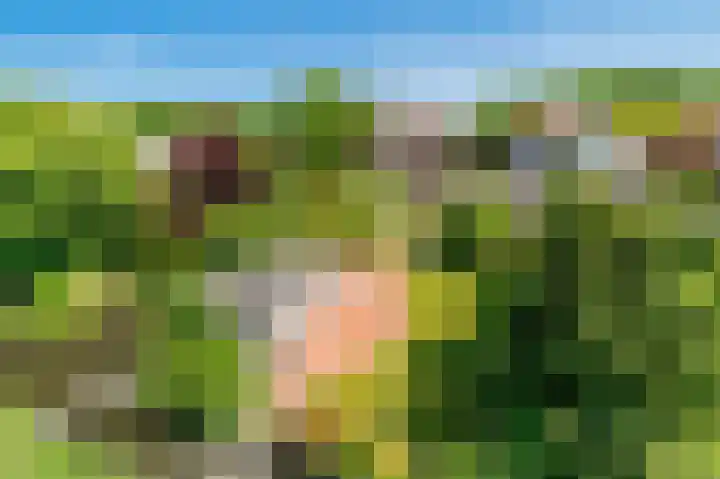 Akker 95 De Bilt thumbnail 29