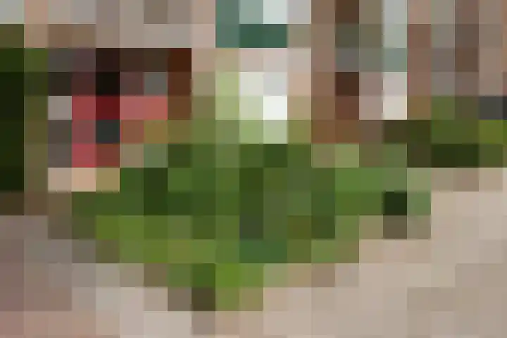 Akker 95 De Bilt thumbnail 34