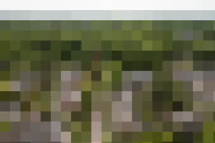 Akker 95 De Bilt thumbnail 36
