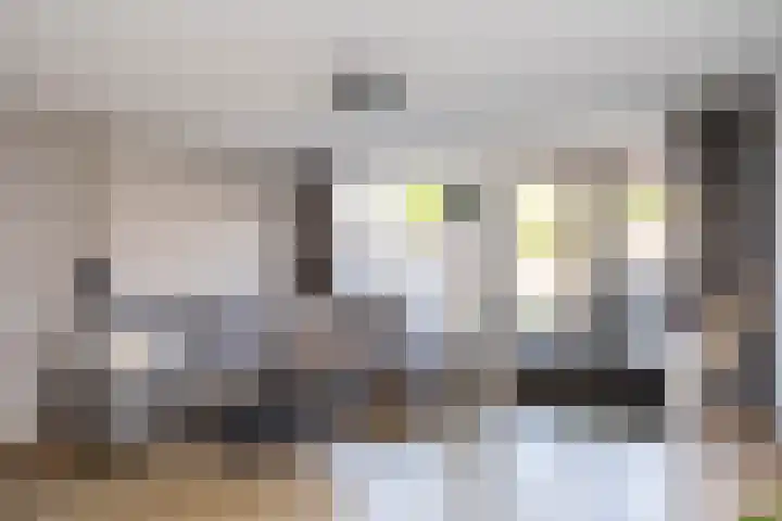 Akkerbergstraat 66 Zwolle thumbnail 5