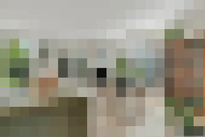 Akkerbergstraat 82 Zwolle thumbnail 7