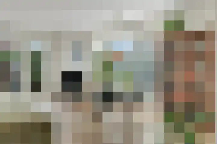 Akkerbergstraat 82 Zwolle thumbnail 8