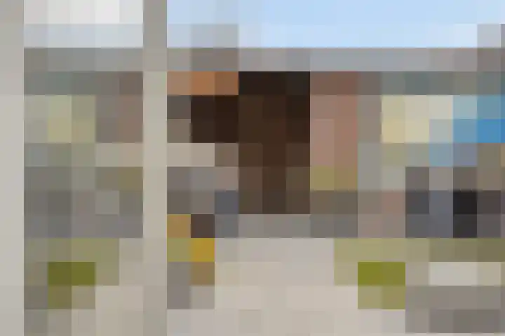 Akkerbloemstraat 36 Scharendijke thumbnail 19
