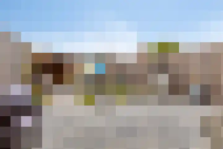 Akkerbloemstraat 36 Scharendijke thumbnail 20