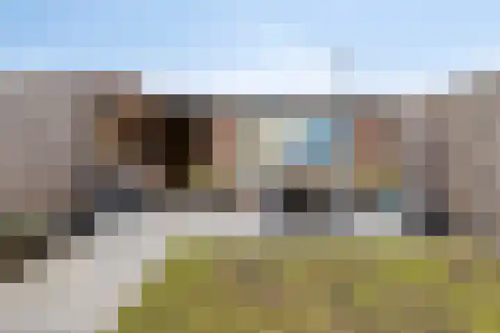 Akkerbloemstraat 36 Scharendijke thumbnail 22