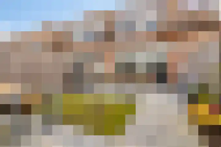 Akkerbloemstraat 36 Scharendijke thumbnail 23