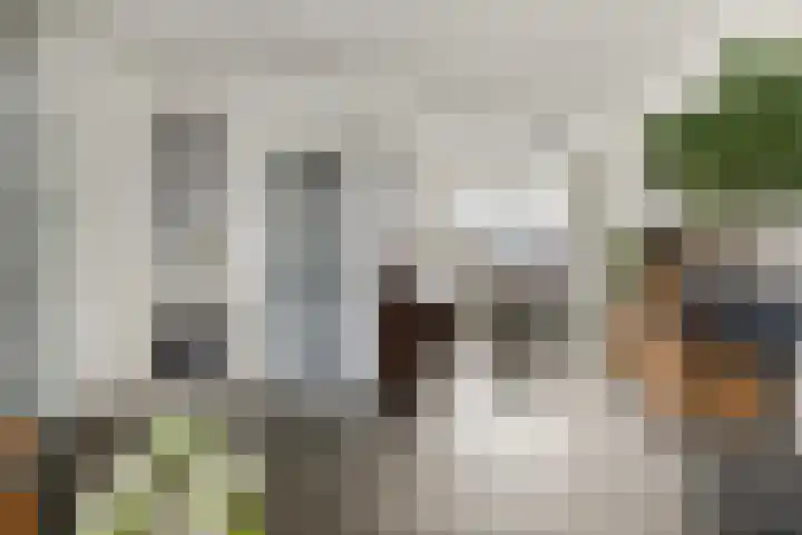 Akkerbloemstraat 36 Scharendijke thumbnail 4