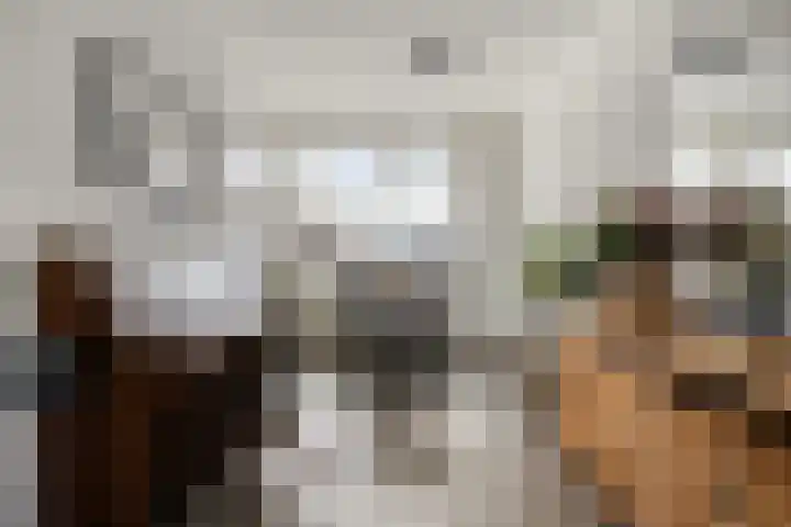 Akkerbloemstraat 36 Scharendijke thumbnail 5