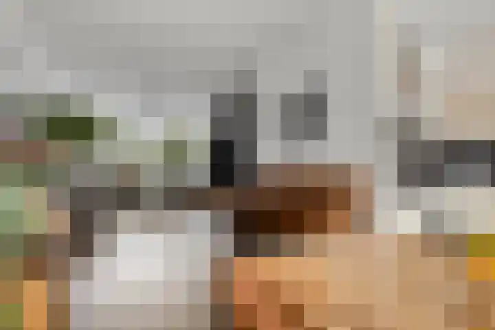 Akkerbloemstraat 36 Scharendijke thumbnail 6
