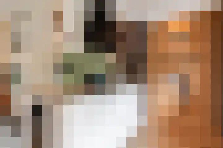 Akkerbouw 7 Houten thumbnail 19