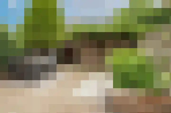 Akkerbouw 7 Houten thumbnail 20