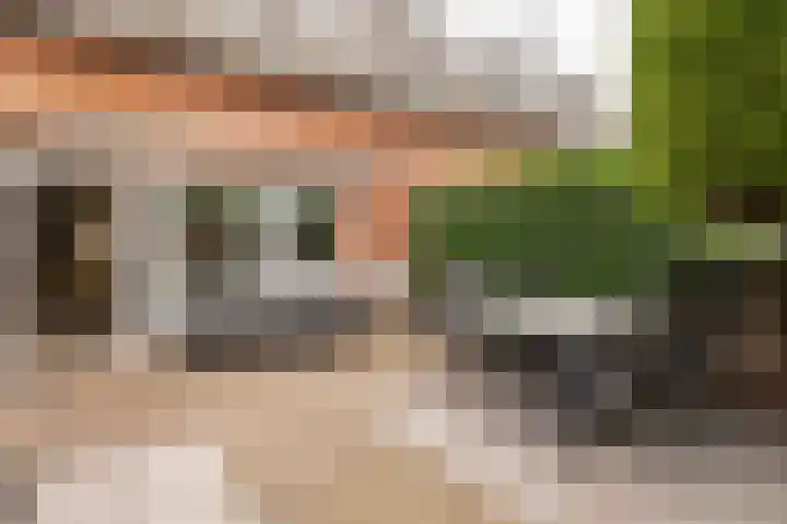 Akkerbouw 7 Houten thumbnail 24