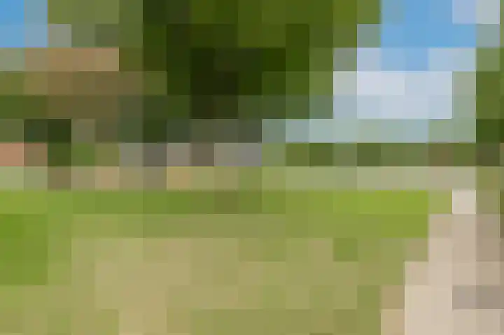Akkerbouw 7 Houten thumbnail 49