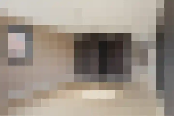 Akkerbouwstraat 34 Julianadorp thumbnail 21