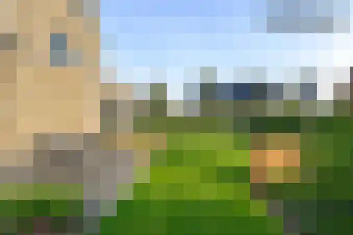 Akkerbouwstraat 34 Julianadorp thumbnail 5