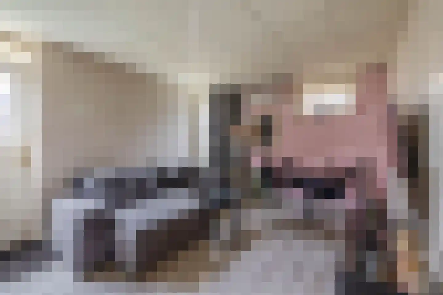 Akkerdistel 1 De Meern thumbnail 20