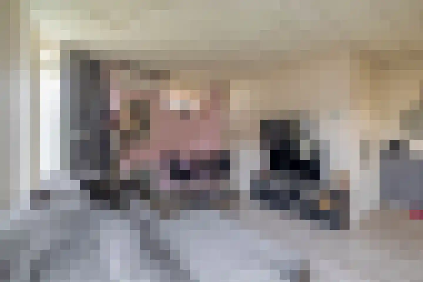 Akkerdistel 1 De Meern thumbnail 21