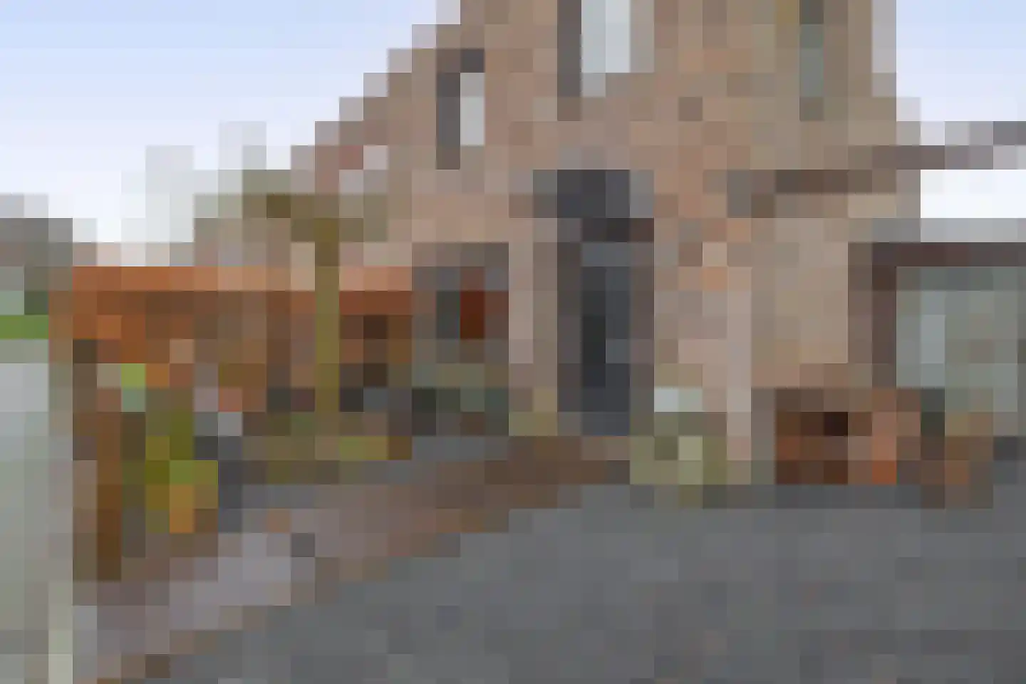 Akkerdistel 1 De Meern thumbnail 4