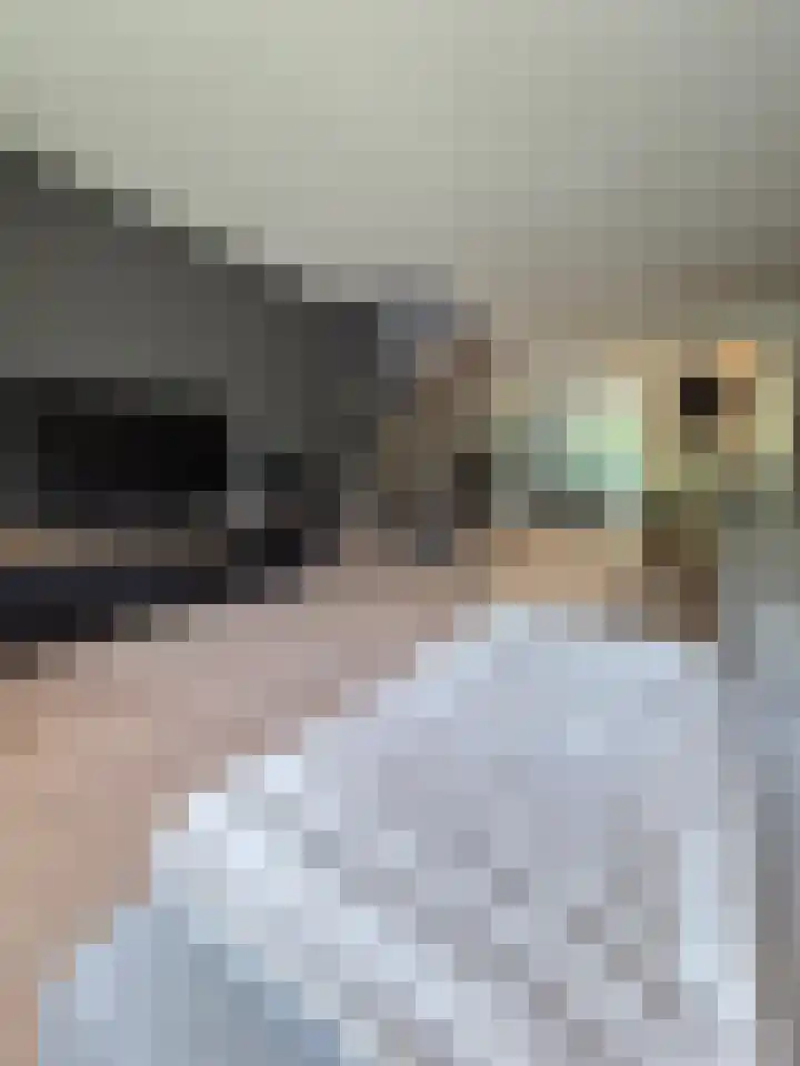 Akkerdistel 1 Rotterdam thumbnail 13