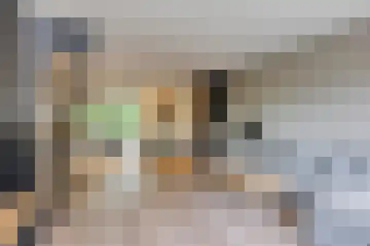 Akkerdistel 1 Rotterdam thumbnail 14