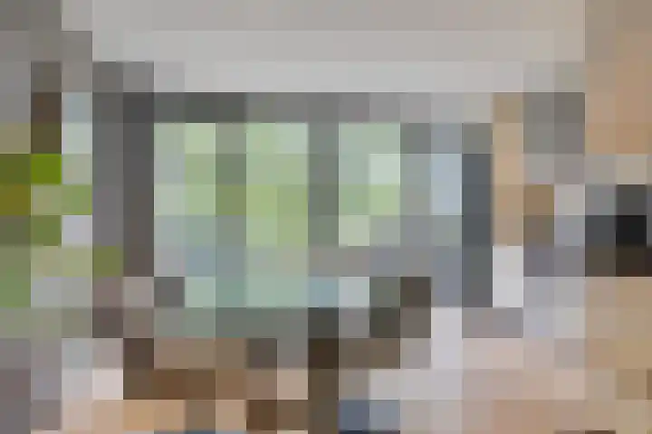 Akkerdistel 1 Rotterdam thumbnail 18