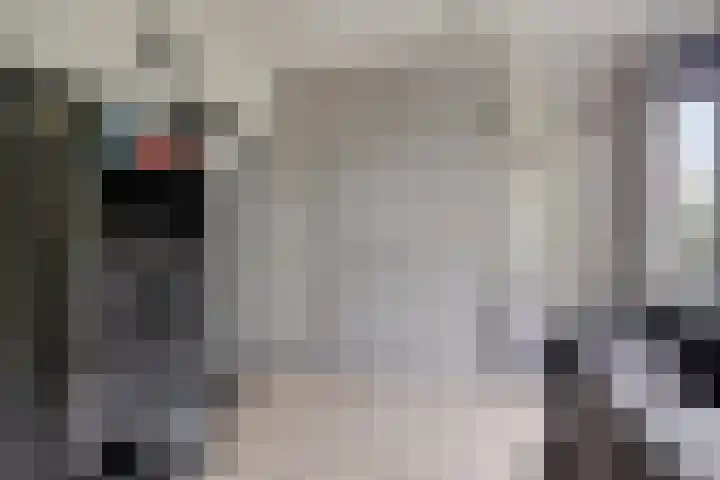Akkerdistel 1 Rotterdam thumbnail 22