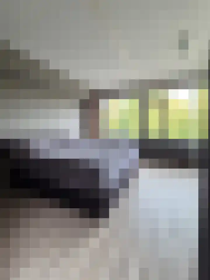 Akkerdistel 1 Rotterdam thumbnail 24