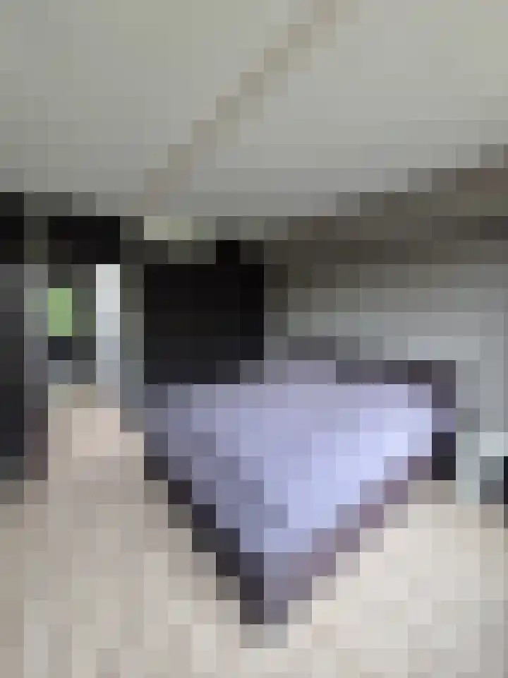 Akkerdistel 1 Rotterdam thumbnail 25