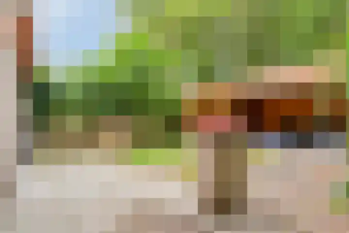 Akkerdistel 1 Rotterdam thumbnail 29