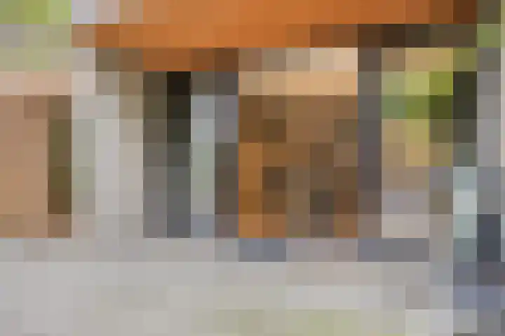 Akkerdistel 1 Rotterdam thumbnail 30