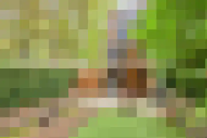 Akkerdistel 1 Rotterdam thumbnail 31
