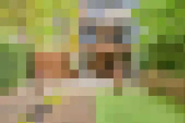 Akkerdistel 1 Rotterdam thumbnail 32