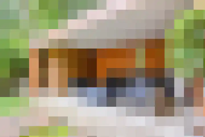 Akkerdistel 1 Rotterdam thumbnail 33