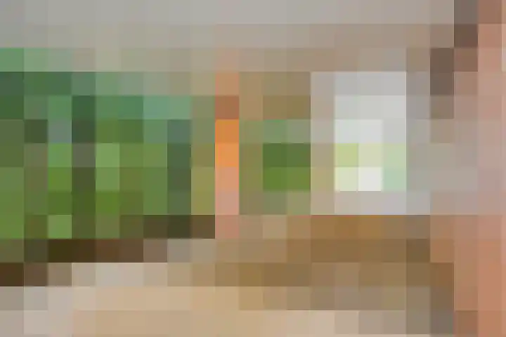 Akkerdistel 1 Rotterdam thumbnail 34