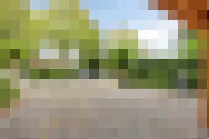 Akkerdistel 1 Rotterdam thumbnail 36