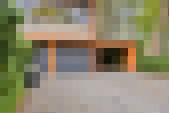 Akkerdistel 1 Rotterdam thumbnail 5