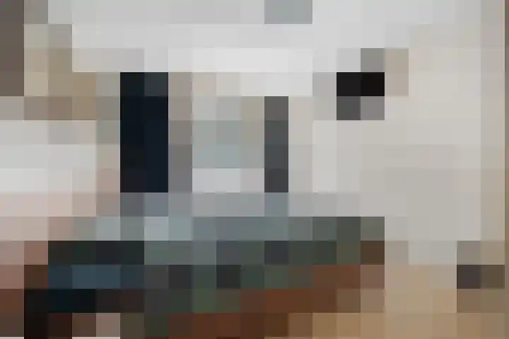 Akkerdistel 121 Klazienaveen thumbnail 18