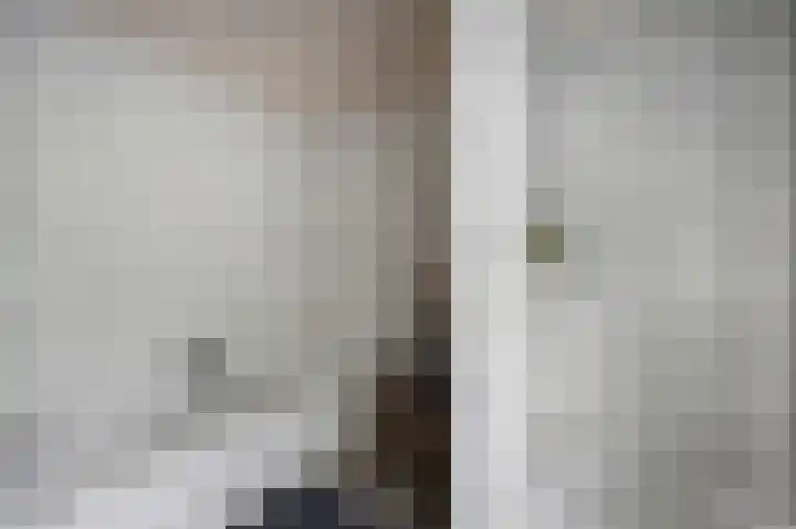 Akkerdistel 121 Klazienaveen thumbnail 23