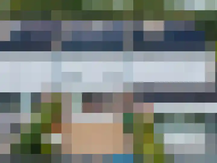 Akkerdistel 121 Klazienaveen thumbnail 27