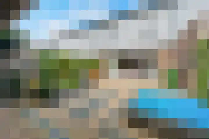 Akkerdistel 121 Klazienaveen thumbnail 28