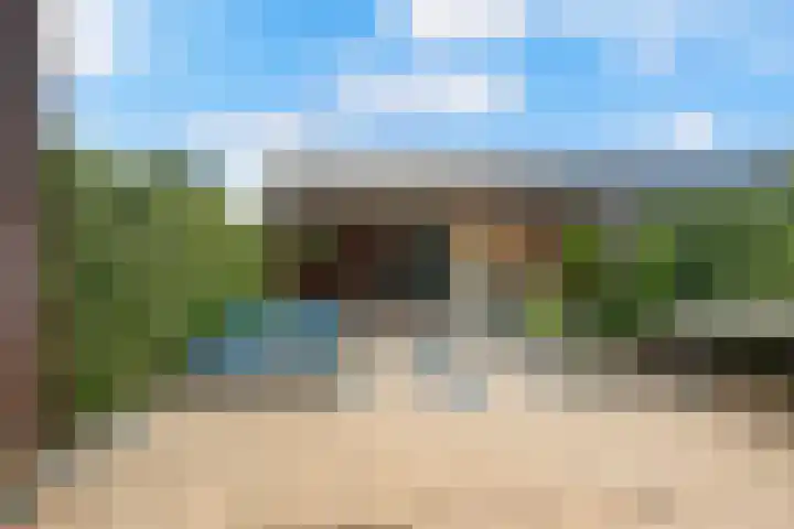 Akkerdistel 121 Klazienaveen thumbnail 29