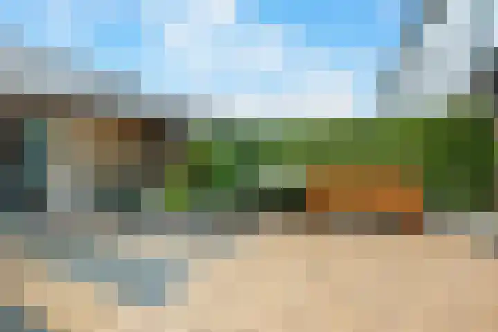Akkerdistel 121 Klazienaveen thumbnail 30