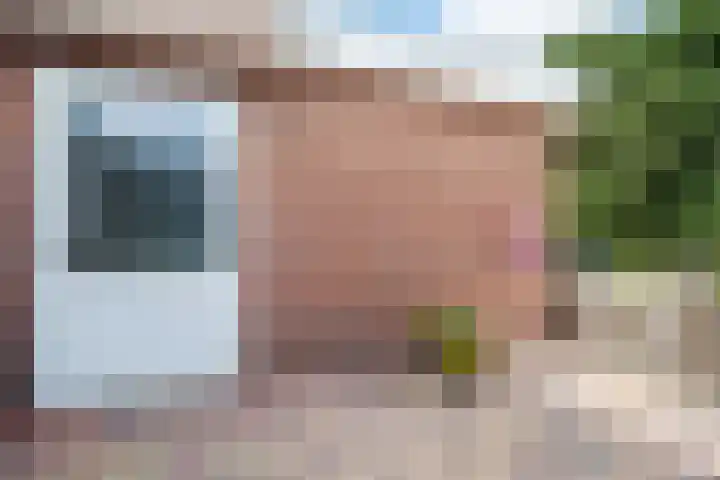 Akkerdistel 121 Klazienaveen thumbnail 33