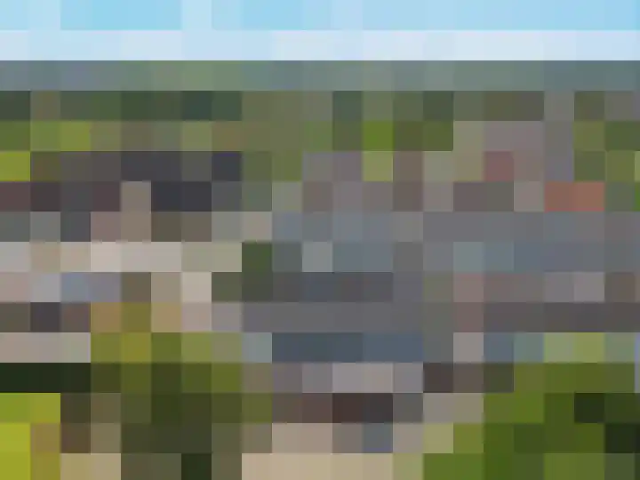 Akkerdistel 121 Klazienaveen thumbnail 34