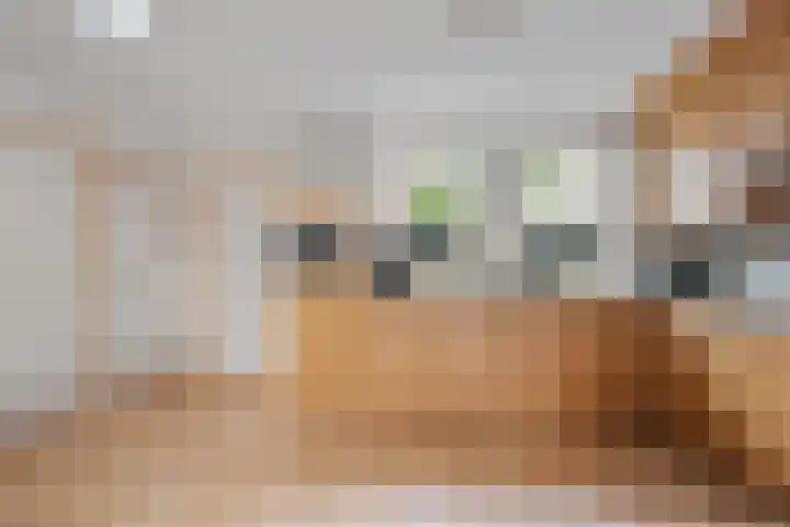 Akkerdistel 121 Klazienaveen thumbnail 8