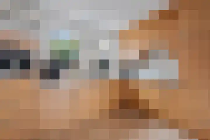 Akkerdistel 121 Klazienaveen thumbnail 9