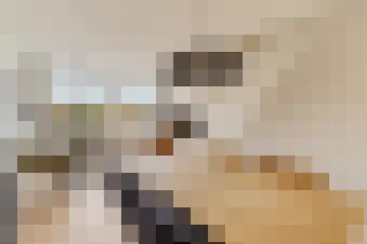 Akkerdistel 13 Rotterdam thumbnail 10